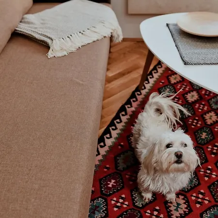 Suncana Dolina * Zlatibor