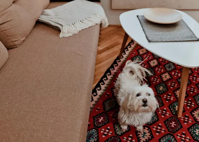 Suncana Dolina * Zlatibor