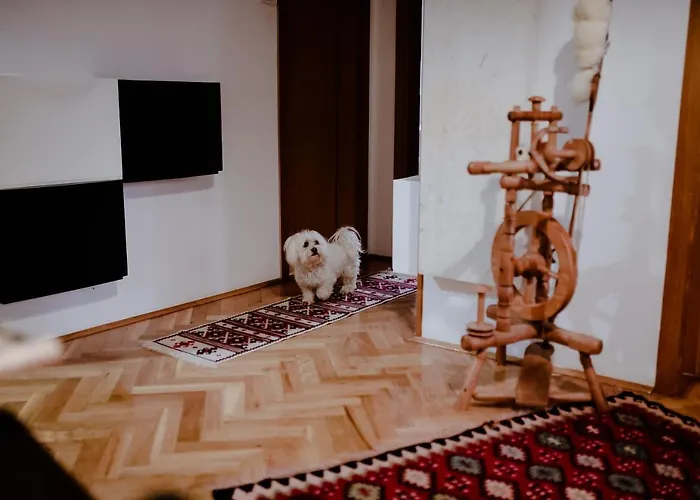 Suncana Dolina Appartamento